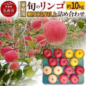 【ふるさと納税】【寄附金額見直しました】【26年1月〜発送】りんご 家庭用 旬のリンゴ詰め合わせ 約10kg 糖度13度以上
