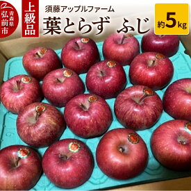 【ふるさと納税】 【25年12月発送】りんご 上級品 葉とらず ふじ 約5kg