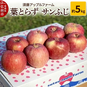 yӂ邳Ɣ[Łzyr[Ly[zy26N1z tƂ炸 Tӂ 5kg