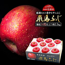 【ふるさと納税】【26年12月〜発送】りんご 糖度14度以上 「 飛馬ふじ 」（サンふじ）約 2.5kg [アップル おいしい ふじ りんご 果実 果物 赤色 糖度 美味 林檎]