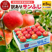 【ふるさと納税】【26年2月発送】りんご【訳あり】サンふじ 約5kg（16...