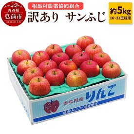 【ふるさと納税】【レビューキャンペーン】【26年2月発送】りんご【訳あり】サンふじ 約5kg（16〜23玉程度）