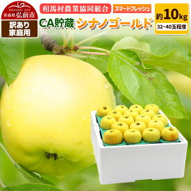 【ふるさと納税】【寄附金額見直しました】りんご シナノゴールド【訳あり】家庭用 約10kg（32〜40玉程度）CA スマートフレッシュ [シナノゴールド りんご 10キロ アップル おいしい 黄色 果実 果物 美味 林檎]