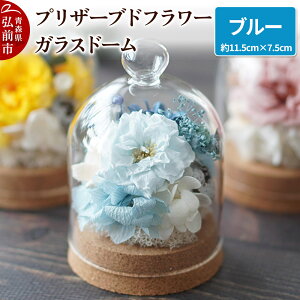 yӂ邳Ɣ[Łzyr[Ly[zvU[uht[ KXh[yu[z11.5cm×7.5cm 1