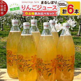 【ふるさと納税】【26年12月〜発送】りんごジュース 無添加 6品種飲み比べセット まるしぼり 1000ml 各1本 計6本 somaringo farm 先行受付 [先行予約 りんごジュース ストレートジュース シナノゴールド ぐんまめいげつ ふじ]