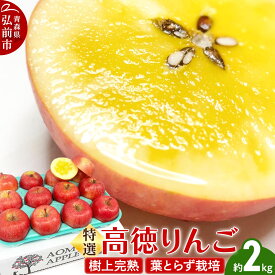 【ふるさと納税】【レビューキャンペーン】【25年12月発送】りんご 特選 高徳（ こうとく ）りんご 約2kg