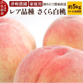 【ふるさと納税】【レビューキャンペーン】【25年9月発送】もも【2025年産 レア品種 さくら白桃】家庭用 約5kg 14〜22玉程度 ASIAGAP認証農場 津軽農園 採れたて 農家直送