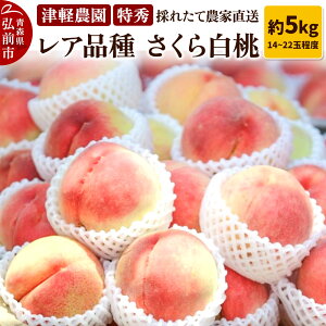 yӂ邳Ɣ[Łzy26N9zy2026NY Ai 甒zG 5kg 14`22ʒx Ìy_ ̂ꂽ _ƒ