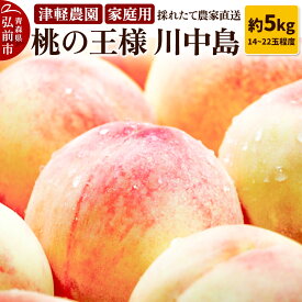 【ふるさと納税】【レビューキャンペーン】【25年8月発送】もも【2025年産 桃の王様 川中島】家庭用 約5kg 14〜22玉程度 ASIAGAP認証農場 津軽農園 採れたて 農家直送