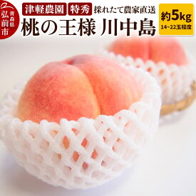【ふるさと納税】【レビューキャンペーン】【25年8月発送】もも【2025年産 桃の王様 川中島】特秀 約5kg 14〜22玉程度 ASIAGAP認証農場 津軽農園 採れたて 農家直送