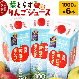 【ふるさと納税】 葉とらずりんごジュース（1000g×6本セット）青研 ためのぶストア