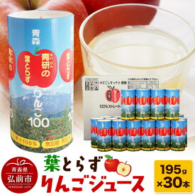 【ふるさと納税】 葉とらずりんごジュース（195g×30本セット）青研 ためのぶストア