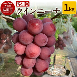 yӂ邳Ɣ[Łzyr[Ly[zy25N9`z y󂠂z NCj[i 1kgystz Ԃǂ t[c ʕ uhE  O[v  Yn