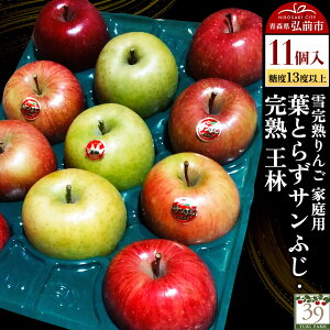 yӂ邳Ɣ[Łzyr[Ly[zy26N1`z y ʌ zኮn x13xȏ ƒp tƂ炸Tӂ E n  11