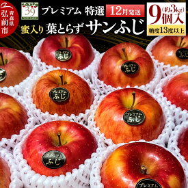 【ふるさと納税】【26年12月発送】りんご 葉とらず サンふじ【特選】約3kg（9個）糖度13度以上 蜜入り プレミアム【数量限定】先行受付 青森県 弘前市 果物 フルーツ 林檎 リンゴ くだもの ギフト 贈り物 [先行予約 産地直送 アップル]