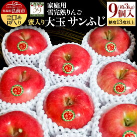 【ふるさと納税】【25年12月発送】りんご 【 数量限定 】訳あり 雪完熟 家庭用 蜜入り 糖度13度以上 大玉 サンふじ 約3kg 9個入り