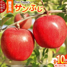 【ふるさと納税】りんご【26年12月下旬〜発送】サンふじ 贈答用【選べる約 3kg／5kg／10kg】内のし付き 青森県 弘前市 [先行予約 アップル おいしい ふじ りんご 果実 果物 赤色 津軽 糖度 美味 林檎]