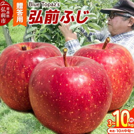 【ふるさと納税】りんご【26年10月中旬〜発送】弘前ふじ 贈答用【選べる約 3kg／5kg／10kg】内のし付き 青森県 弘前市 [先行予約 アップル おいしい ふじ りんご 果実 果物 赤色 津軽 糖度 美味 林檎]