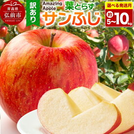 【ふるさと納税】りんご 葉とらずサンふじ【訳あり】家庭用【選べる 5kg／10kg×発送月】 [りんご サンふじ 葉とらず ふじ 訳あり 家庭用 選べる 5kg 10kg アップル おいしい 果実 果物 取ら 赤色 美味 葉っぱ 林檎 青森県 弘前市]