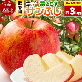 【ふるさと納税】りんご【贈答用】葉とらずサンふじ 約3kg【選べる発送月】 [りんご サンふじ 葉とらず ふじ 選べる 3kg お歳暮 お中元 ギフト 贈り物 贈答用 アップル おいしい 果実 果物 赤色 美味 葉っぱ 林檎 青森県 弘前市]
