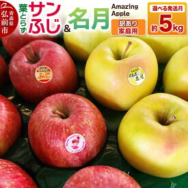 【ふるさと納税】りんご 葉取らずサンふじ＆名月 詰め合わせ【訳あり】家庭用 約5kg【選べる発送月】 [りんご サンふじ 葉とらず ふじ 名月 訳あり 家庭用 選べる 5kg 詰め合わせ セット アップル おいしい 果実 果物 美味 葉っぱ 林檎]