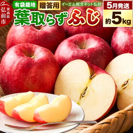 【ふるさと納税】 【26年5月クール便発送】りんご 贈答用 葉取らず ふじ 約5kg（有袋栽培・CA貯蔵）EMりんご
