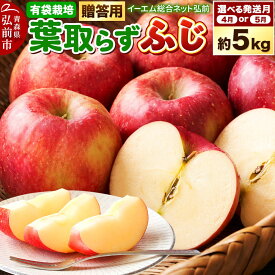 【ふるさと納税】りんご【選べる 27年4月／5月 クール便発送】葉取らず ふじ【贈答用】約5kg【有袋栽培・CA貯蔵】EMりんご 林檎 リンゴ 果物 くだもの フルーツ 青森県 弘前市 贈り物 ギフト [先行予約 産地直送 アップル 青森県 弘前市]