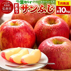 【ふるさと納税】 【26年1月発送】りんご【訳あり】葉取らず サンふじ 約10kg 糖度 13度以上 EMりんご