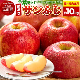 【ふるさと納税】りんご【選べる 27年1月／2月／3月クール便 発送】りんご 葉取らず サンふじ【訳あり】約10kg 糖度13度以上 EMりんご 林檎 リンゴ 果物 くだもの フルーツ 青森県 弘前市 不揃い 規格外 [先行予約 家庭用 産地直送]