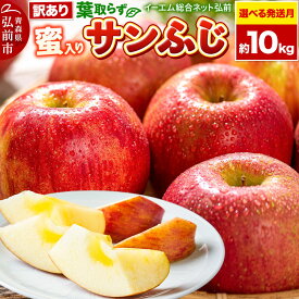 【ふるさと納税】りんご【選べる 26年11月下旬／12月 発送】りんご 葉取らず サンふじ【訳あり】約10kg【蜜入り】糖度13度以上 EMりんご 林檎 リンゴ 果物 くだもの フルーツ 青森県 弘前市 不揃い 規格外 [先行予約 家庭用 産地直送]