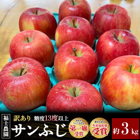 【ふるさと納税】【26年11月〜発送】りんご サンふじ【訳あり】約3kg【りんご品評会最高賞】糖度13度以上保証 青森県 弘前市 [不揃い 規格外 青森県産 産地直送 高糖度 甘い アップル おいしい 果実 果物 赤色 美味]
