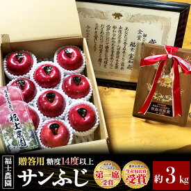 【ふるさと納税】【26年11月〜発送】りんご サンふじ【贈答用・特選】約3kg【りんご品評会最高賞】糖度14度以上保証 青森県 弘前市 [青森県産 ギフト おもてなし 産地直送 高糖度 甘い アップル おいしい 果実 果物 赤色 美味]
