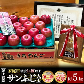 【ふるさと納税】【26年11月〜発送】りんご サンふじ【家庭用】大玉 約5kg【りんご品評会最高賞】糖度14度以上保証 青森県 弘前市 先行受付 [先行予約 青森県産 産地直送 大きい 高糖度 甘い アップル おいしい 果実 果物 赤色 美味]