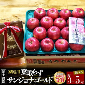 【ふるさと納税】【26年10月〜発送】りんご 葉とらず サンジョナゴールド【家庭用】【選べる約 3kg／5kg】青森県 弘前市 [青森県産 産地直送 アップル おいしい 果実 果物 黄色 美味]