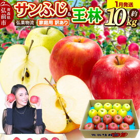 【ふるさと納税】【27年1月発送】りんご 家庭用 訳あり サンふじ・王林 詰め合わせ 約10kg [アップル おいしい ふじ りんご 王林 黄色 果実 果物 詰め合わせ 詰合 赤色 美味 林檎]
