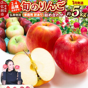 【ふるさと納税】【26年1月発送】りんご 家庭用 訳あり 旬のりんご 品種おまかせ 約5kg 2品種〜4品種