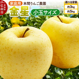 【ふるさと納税】りんご【26年12月発送】金星 小玉 家庭用【選べる約 3kg／5kg】先行受付 青森県 弘前市 果物 フルーツ 林檎 リンゴ くだもの 不揃い 規格外 [先行予約 産地直送 アップル おいしい 果実 美味 甘い 黄色]
