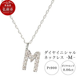【ふるさと納税】ネックレス プラチナ900 0.06ct ダイヤイニシャルネックレス M [アクセサリ おしゃれ きれい シルバー ダイヤ ダイヤモンド ネックレス プラチナ 銀 銀色 白金 宝石 綺麗]