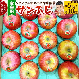 【ふるさと納税】【26年11月下旬〜／12月～発送】りんご サンふじ【選べる約 5kg／10kg】【家庭用】 [アップル おいしい 果実 果物 赤色 美味]