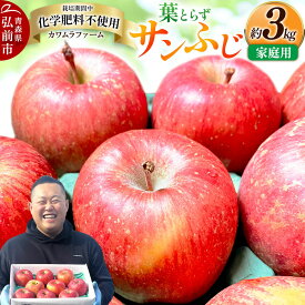 【ふるさと納税】りんご 葉とらず サンふじ 約3kg カワムラファーム 家庭用 青森 果物 フルーツ 林檎 リンゴ くだもの