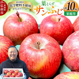 【ふるさと納税】りんご 葉とらず サンふじ 約10kg カワムラファーム 家庭用 青森 果物 フルーツ 林檎 リンゴ くだもの