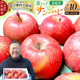 【ふるさと納税】りんご【26年11月下旬〜発送】葉とらず サンふじ【選べる約 3kg／6kg／10kg】【家庭用】先行受付 カワムラファーム 青森県 弘前市 果物 フルーツ 林檎 リンゴ くだもの 不揃い 規格外 [先行予約 産地直送 アップル]