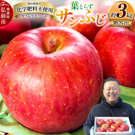 【ふるさと納税】【寄附金額見直しました】りんご 葉とらず サンふじ 約3kg カワムラファーム 贈答用 青森 果物 フルーツ 林檎 リンゴ くだもの
