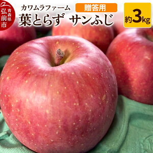 yӂ邳Ɣ[Łzyr[Ly[zy25N11`z tƂ炸 Tӂ 3kg Jt@[ pystz X ʕ t[c ь S  \