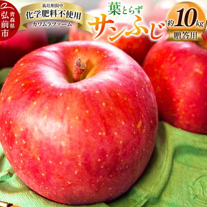 yӂ邳Ɣ[Łz tƂ炸 Tӂ 10kg Jt@[ p X ʕ t[c ь S 