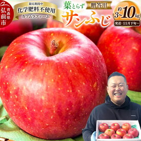 【ふるさと納税】りんご【26年11月下旬〜発送】葉とらず サンふじ【選べる約 3kg／6kg／10kg】【贈答用】先行受付 カワムラファーム 青森県 弘前市 果物 フルーツ 林檎 リンゴ くだもの ギフト 贈り物 [先行予約 産地直送 アップル]