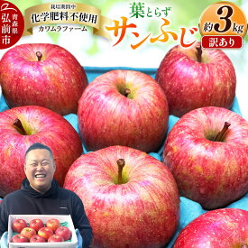 【ふるさと納税】りんご 葉とらず サンふじ 約3kg カワムラファーム 訳あり 青森 果物 フルーツ 林檎 リンゴ くだもの 不揃い 規格外