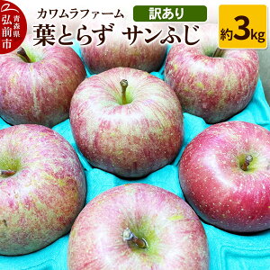yӂ邳Ɣ[Łzyr[Ly[zy25N11`z tƂ炸 Tӂ 3kg Jt@[ 󂠂ystz X ʕ t[c ь S  s Ki