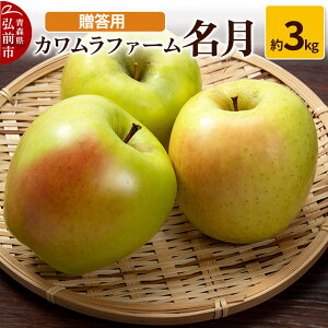 yӂ邳Ɣ[Łzyr[Ly[zy25N11`z  3kg Jt@[ pystz X ʕ t[c ь S  \