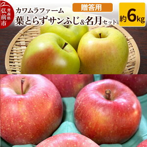 yӂ邳Ɣ[Łzyr[Ly[zy25N11`z tƂ炸 Tӂ   Zbg 6kg Jt@[ pystz X ʕ t[c ь S 